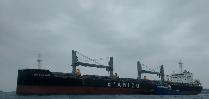 CIELO DI VALPARAISO Bulk Carrier IMO 9663776 photo 7