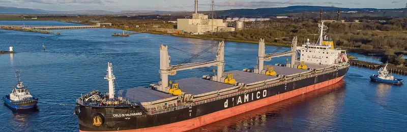 CIELO DI VALPARAISO Bulk Carrier IMO 9663776 photo 10