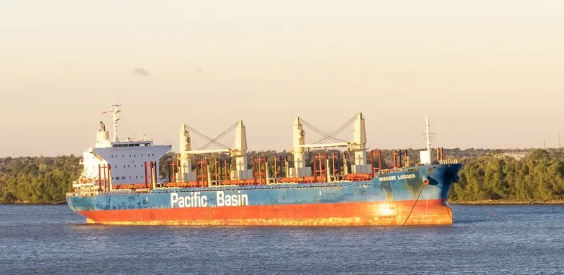 IMABARI LOGGER Bulk Carrier IMO 9663855