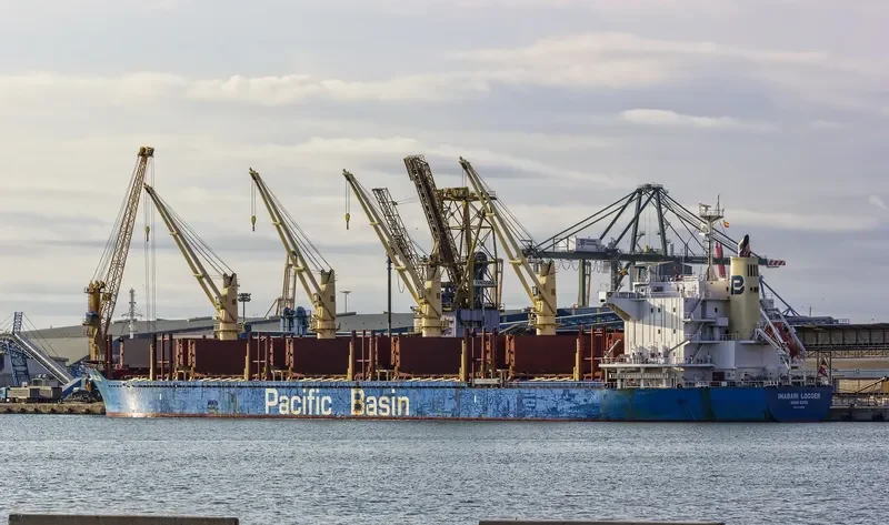 IMABARI LOGGER Bulk Carrier IMO 9663855 photo 2