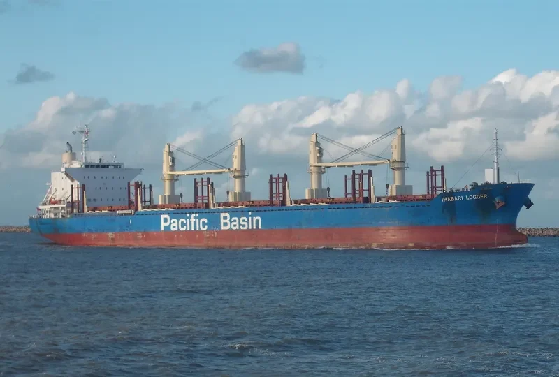 IMABARI LOGGER Bulk Carrier IMO 9663855 photo 3
