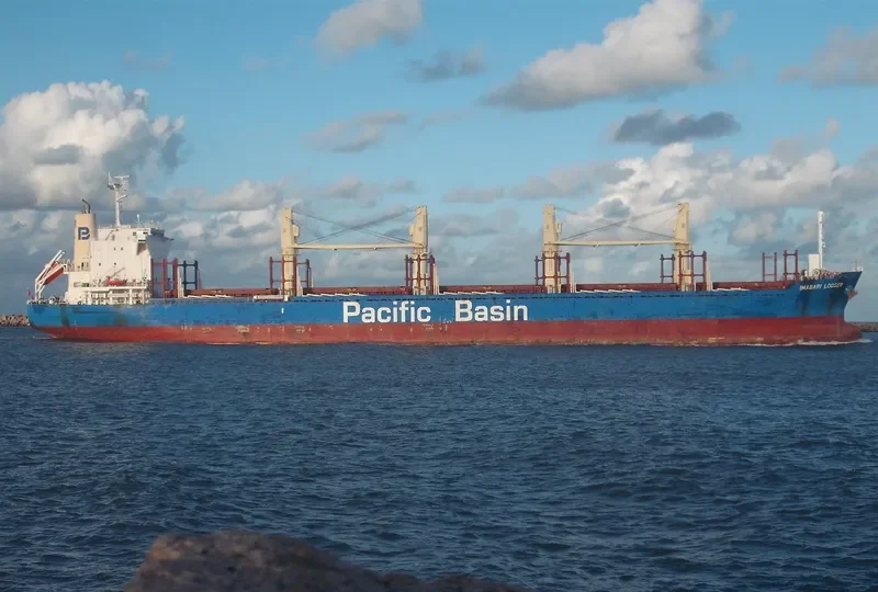 IMABARI LOGGER Bulk Carrier IMO 9663855 photo 4