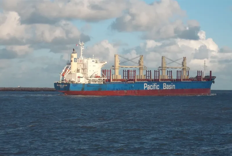 IMABARI LOGGER Bulk Carrier IMO 9663855 photo 5
