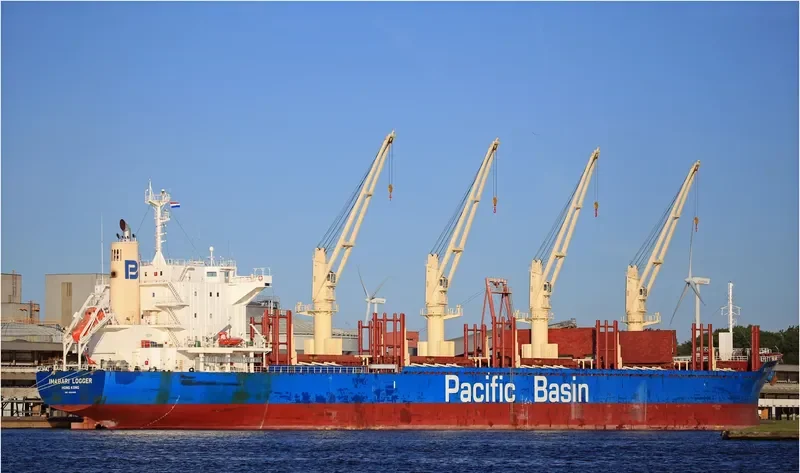 IMABARI LOGGER Bulk Carrier IMO 9663855 photo 6