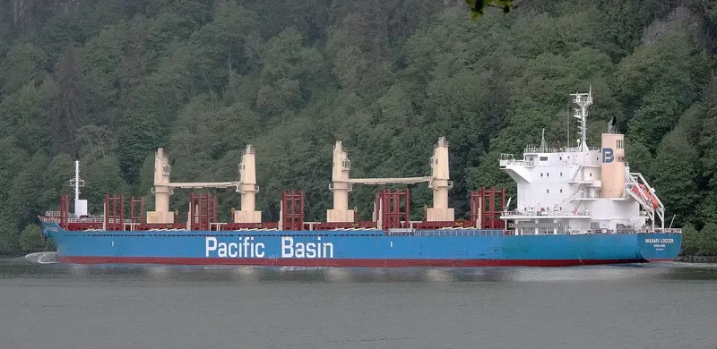 IMABARI LOGGER Bulk Carrier IMO 9663855 photo 7