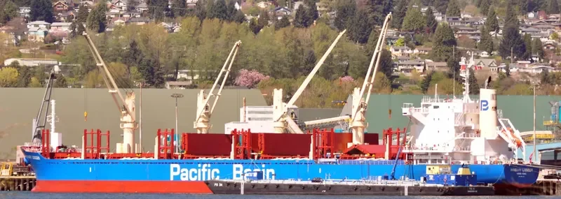 IMABARI LOGGER Bulk Carrier IMO 9663855 photo 8