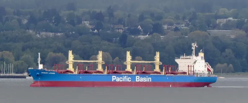 IMABARI LOGGER Bulk Carrier IMO 9663855 photo 10