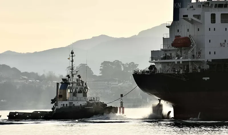 VEHINTISIETE General Cargo IMO 9664079 photo 7