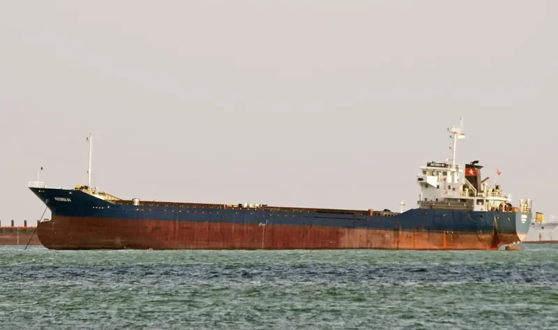 VICTORIA 19 General Cargo IMO 9664108 photo 3