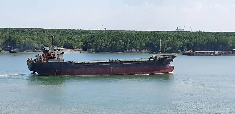 MARITIME 19 General Cargo IMO 9664110