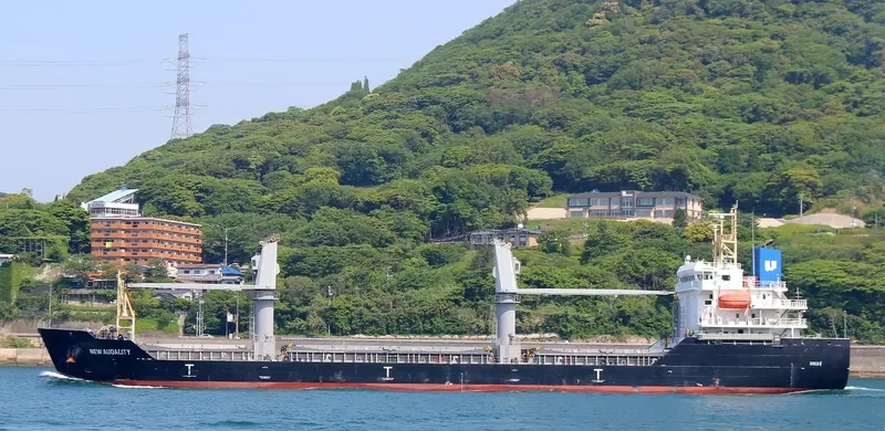 NEW AUDACITY General Cargo IMO 9664160 photo 2
