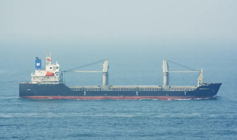 NEW AUDACITY General Cargo IMO 9664160 photo 5