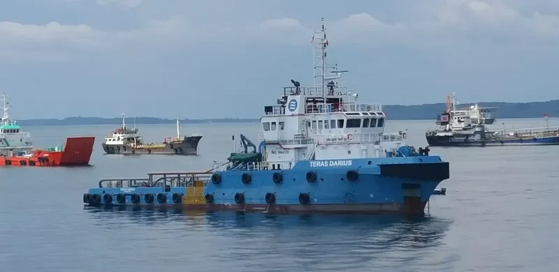 TERAS DARIUS General Cargo IMO 9664328