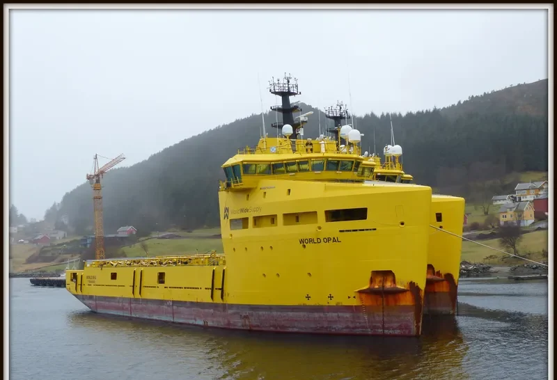 WORLD OPAL Offshore Vessel IMO 9664433 photo 2