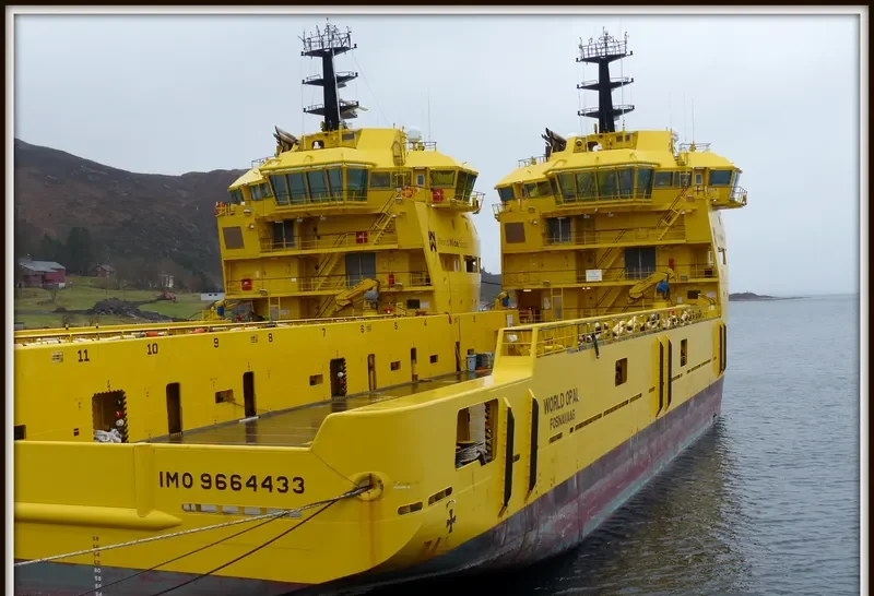 WORLD OPAL Offshore Vessel IMO 9664433 photo 3