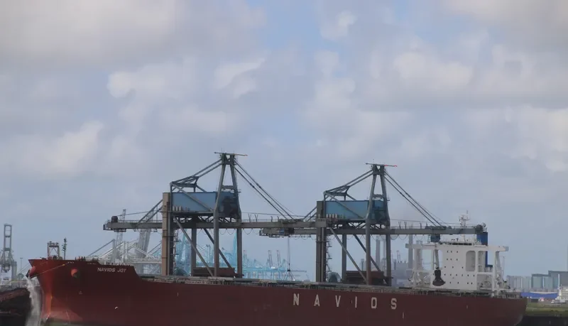 NAVIOS JOY Bulk Carrier IMO 9664873
