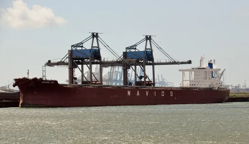 NAVIOS JOY Bulk Carrier IMO 9664873 photo 2