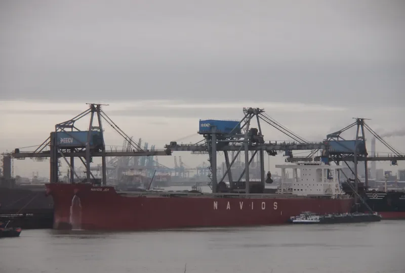 NAVIOS JOY Bulk Carrier IMO 9664873 photo 3