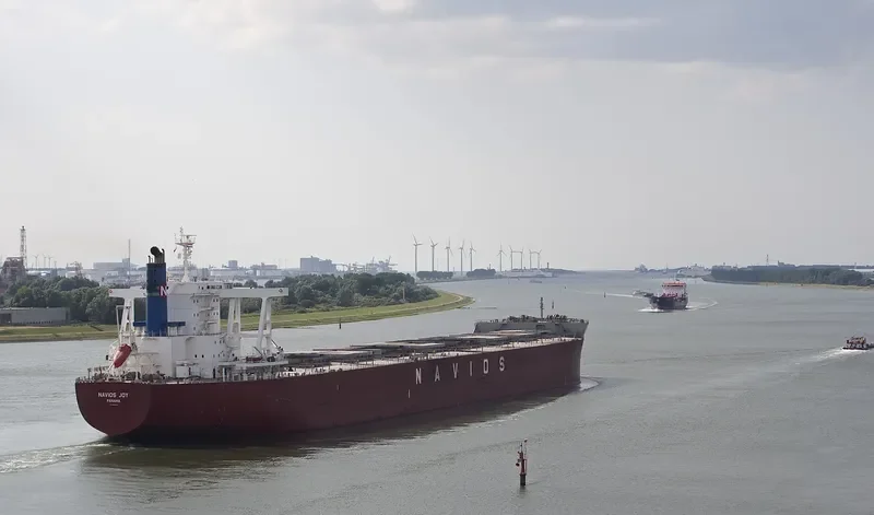 NAVIOS JOY Bulk Carrier IMO 9664873 photo 4