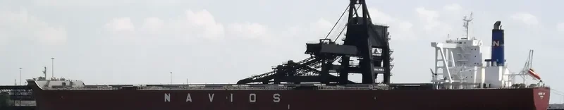 NAVIOS JOY Bulk Carrier IMO 9664873 photo 5