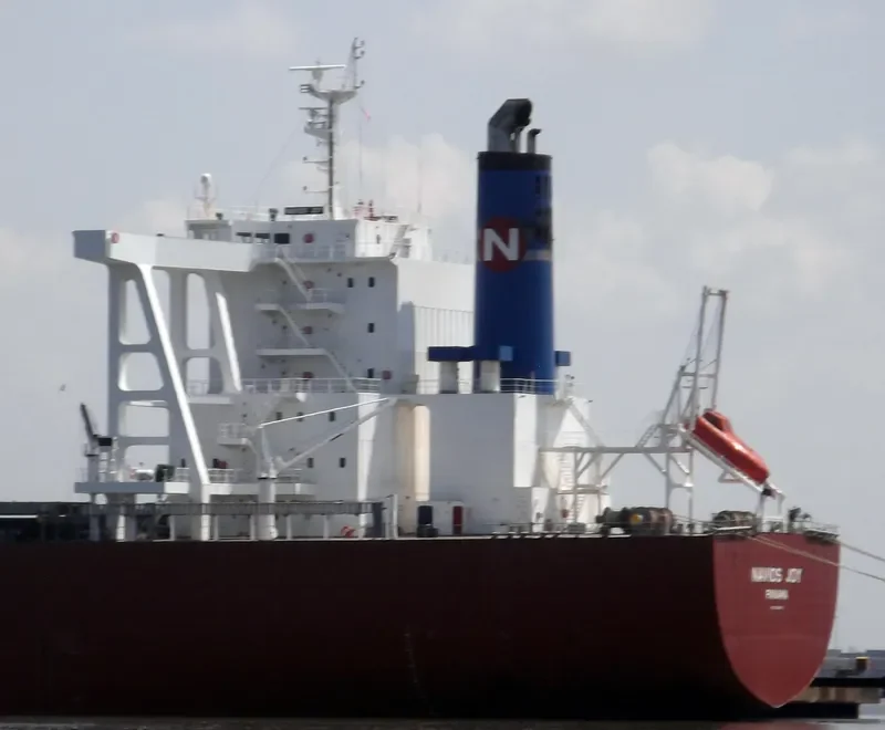 NAVIOS JOY Bulk Carrier IMO 9664873 photo 6