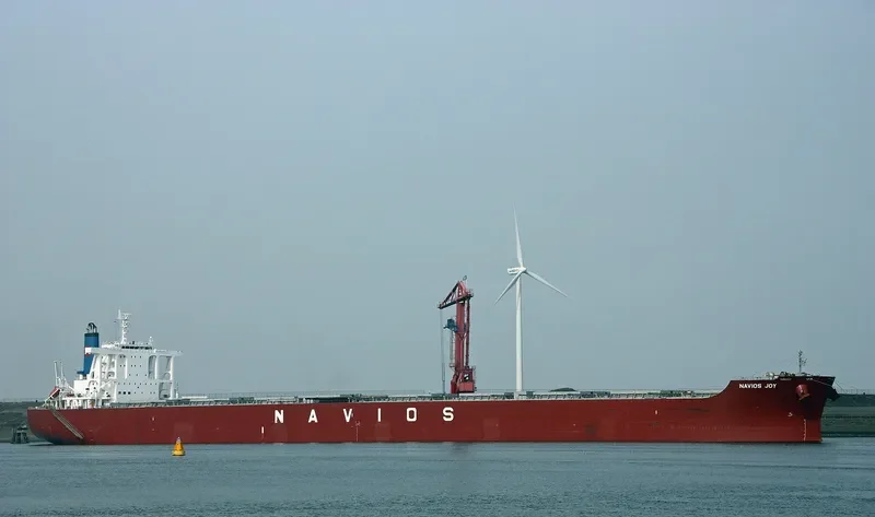 NAVIOS JOY Bulk Carrier IMO 9664873 photo 10
