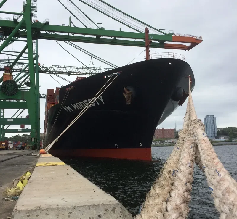 YM MODESTY Container Ship IMO 9664885 photo 2