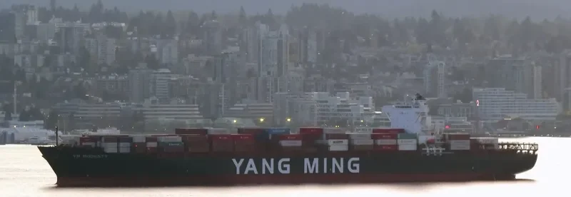 YM MODESTY Container Ship IMO 9664885 photo 10