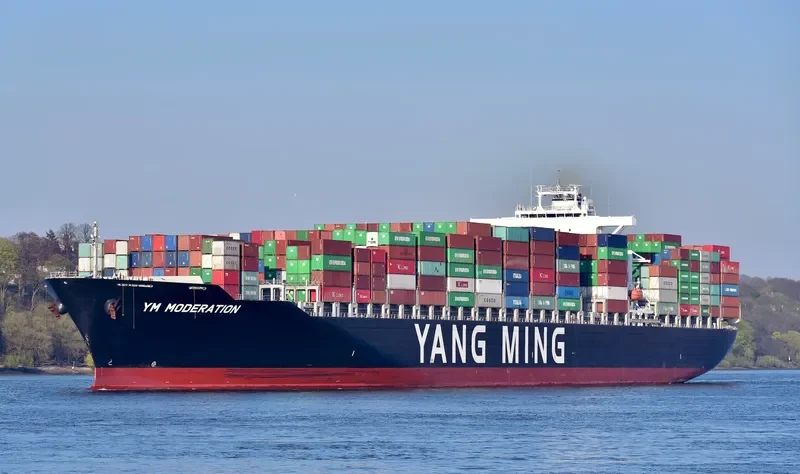 YM MODERATION Container Ship IMO 9664897