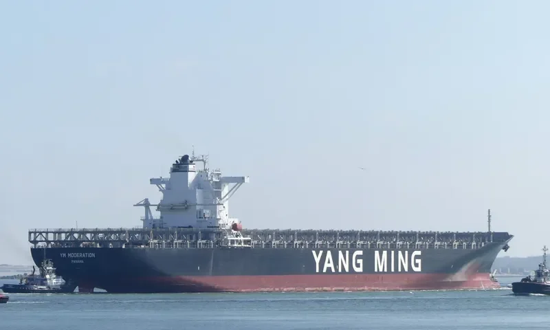 YM MODERATION Container Ship IMO 9664897 photo 10