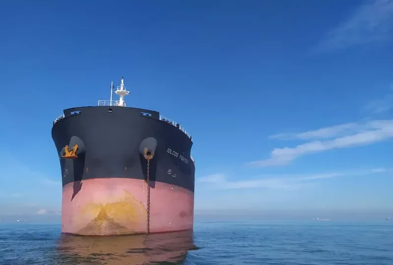 IOLCOS FIGHTER Bulk Carrier IMO 9664964 photo 9