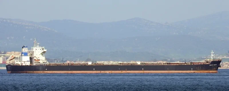 IOLCOS FIGHTER Bulk Carrier IMO 9664964 photo 10
