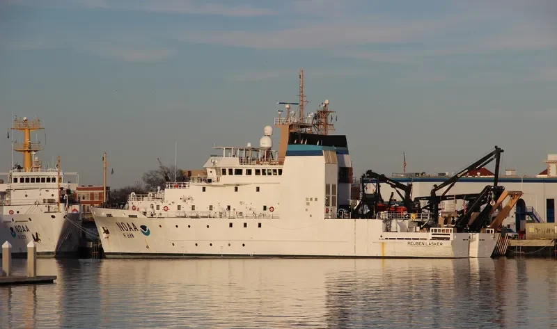 REUBEN LASKER General Cargo IMO 9664988 photo 4