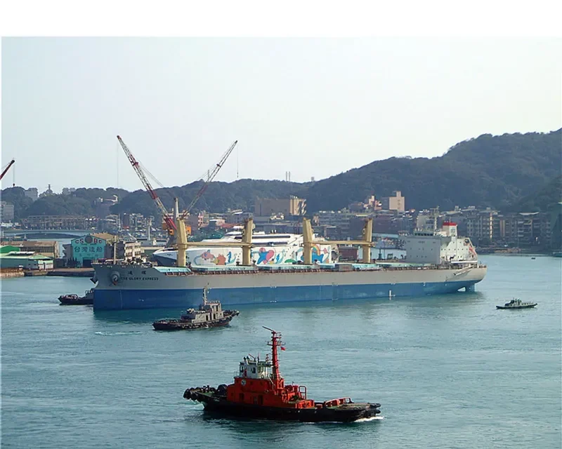 CSE GLORY EXPRESS Bulk Carrier IMO 9665152 photo 8