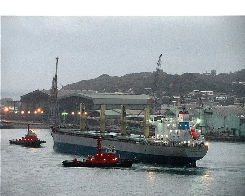 CSE FORTUNE EXPRESS Bulk Carrier IMO 9665164 photo 2