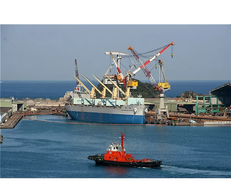 CSE FORTUNE EXPRESS Bulk Carrier IMO 9665164 photo 3
