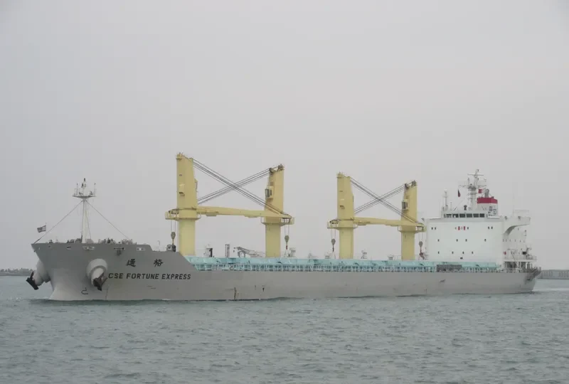 CSE FORTUNE EXPRESS Bulk Carrier IMO 9665164 photo 4