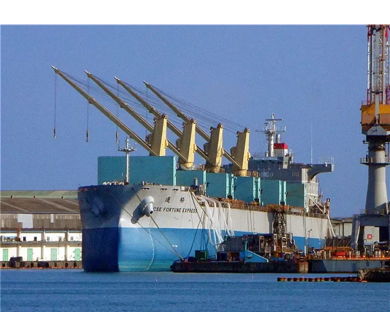 CSE FORTUNE EXPRESS Bulk Carrier IMO 9665164 photo 6