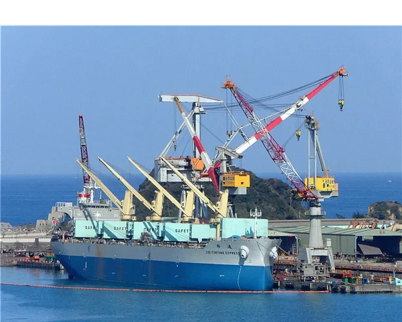 CSE FORTUNE EXPRESS Bulk Carrier IMO 9665164 photo 7