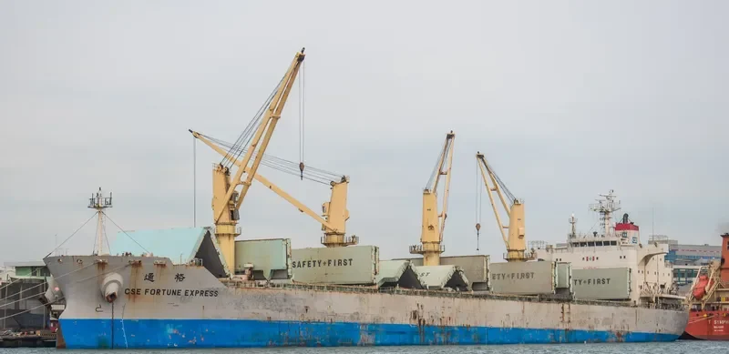 CSE FORTUNE EXPRESS Bulk Carrier IMO 9665164 photo 10