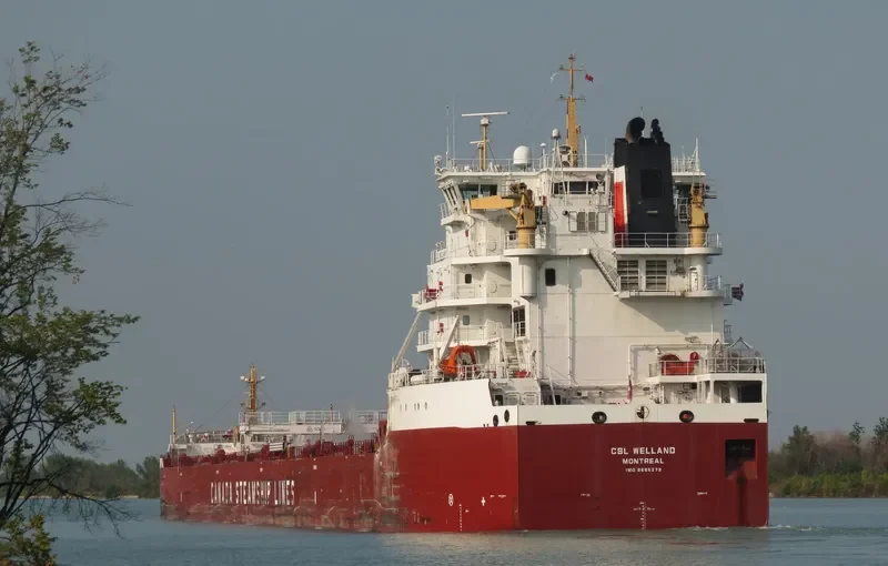 CSL WELLAND Bulk Carrier IMO 9665279 photo 3