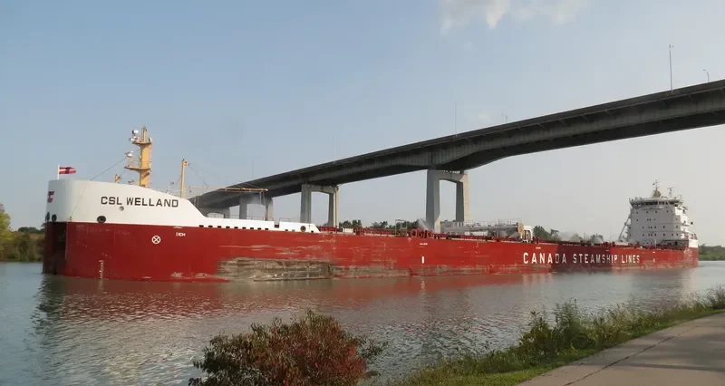 CSL WELLAND Bulk Carrier IMO 9665279 photo 5