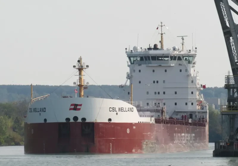 CSL WELLAND Bulk Carrier IMO 9665279 photo 6