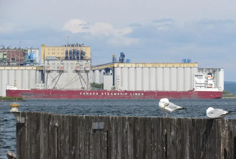 CSL WELLAND Bulk Carrier IMO 9665279 photo 7