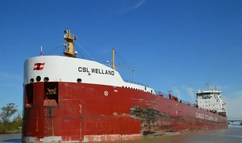 CSL WELLAND Bulk Carrier IMO 9665279 photo 8