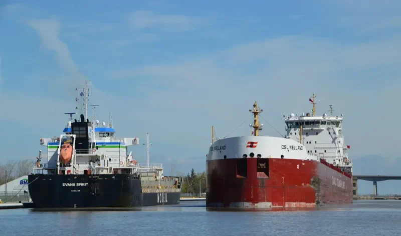 CSL WELLAND Bulk Carrier IMO 9665279 photo 9