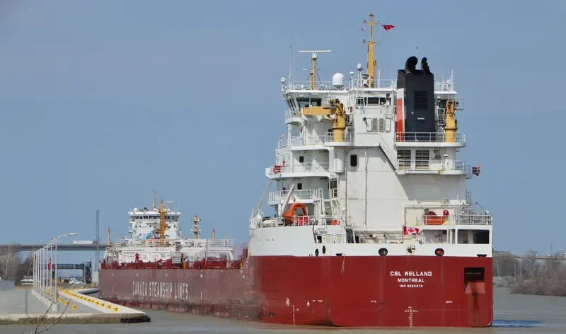 CSL WELLAND Bulk Carrier IMO 9665279 photo 10