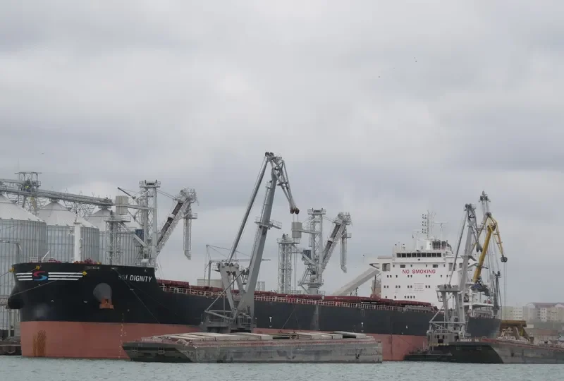 SSI DIGNITY Bulk Carrier IMO 9665360