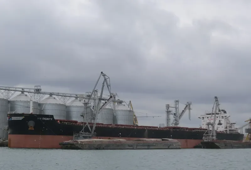 SSI DIGNITY Bulk Carrier IMO 9665360 photo 2