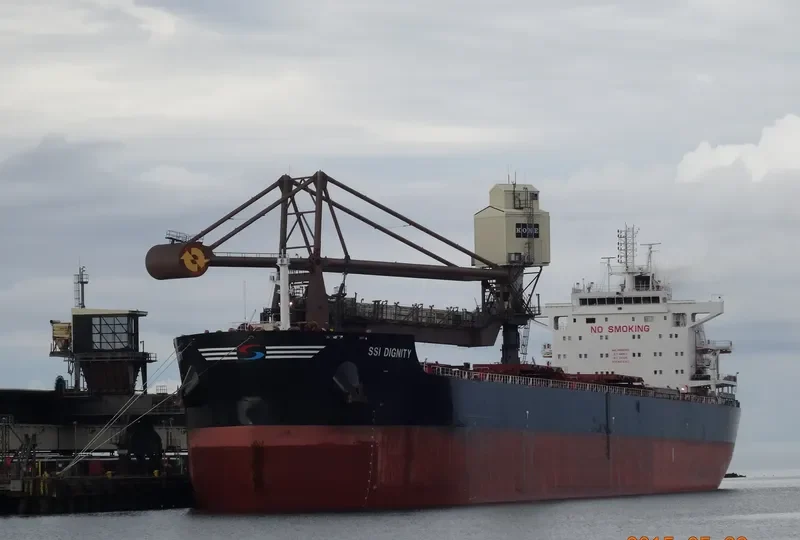 SSI DIGNITY Bulk Carrier IMO 9665360 photo 3